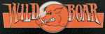 Wild Boar