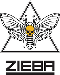 Zieba