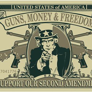 Guns Freedom Dollar Flag