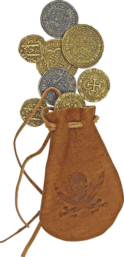 The Spanish Dollar