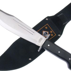 Carson Raider Bowie