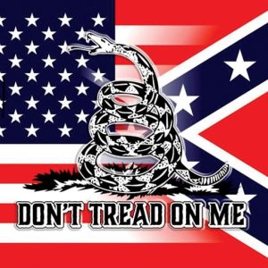 USA & Confederate Flag