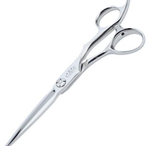 Professional Coiffeur Scissors