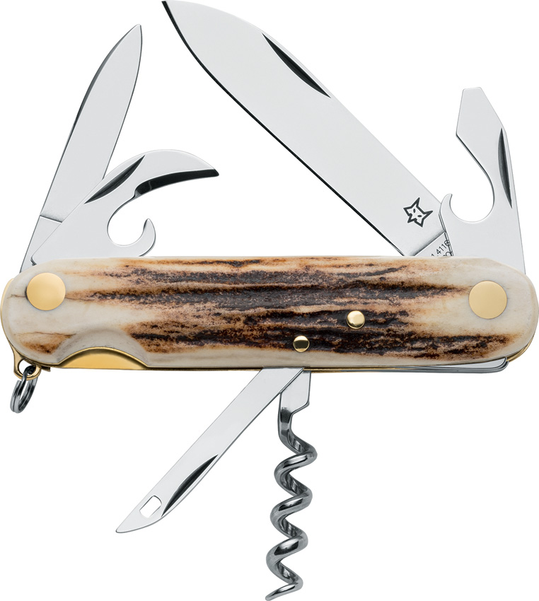 Scout Folder Stag