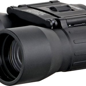 Binoculars 10x42