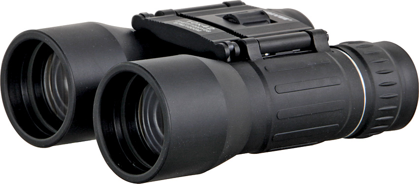 Binoculars 10x42
