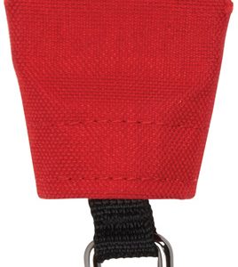 RadDog Retractable Leash