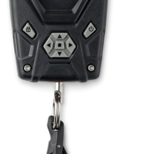 Digital Scale