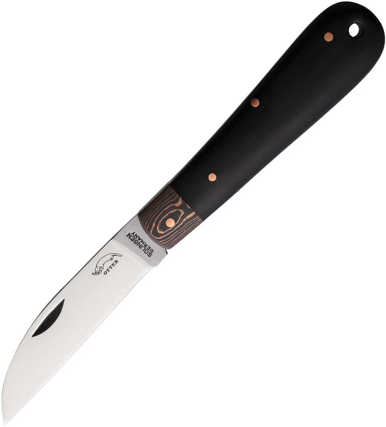 Bergmann Folder