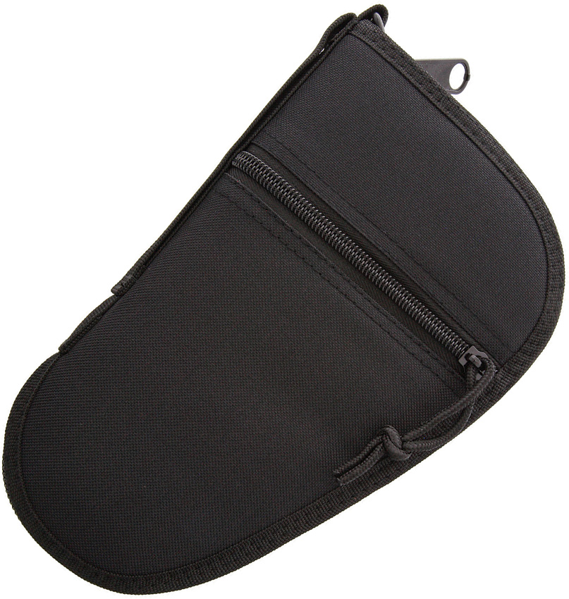 Pistol Case 9.5""