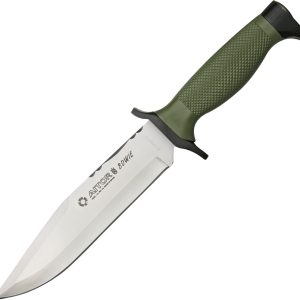 Bowie NATO