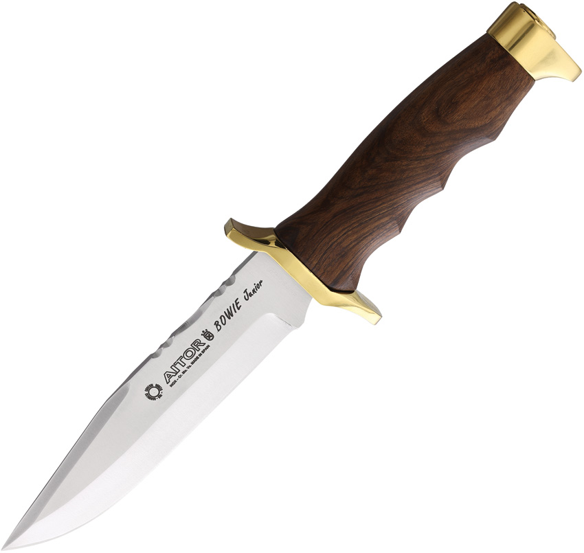 Bowie Jr Wood