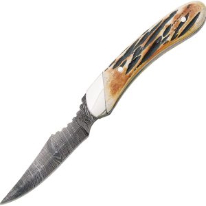 Caper India Stag