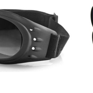 Cruiser 2 Goggle 3 Lenses