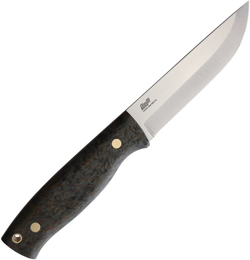 Trooper 115 Black Curly Birch