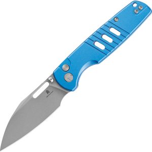 Vector Button Lock Blue
