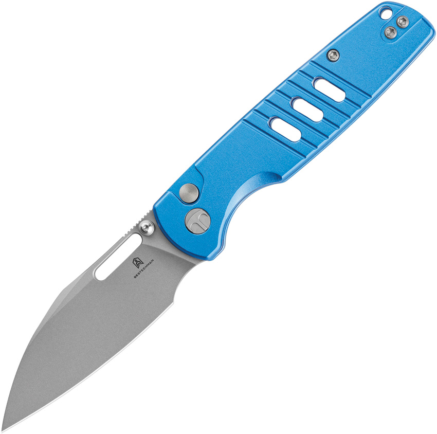 Vector Button Lock Blue