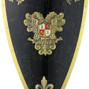 Charles V Shield