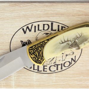 Deer Folder with Gift Box