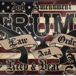 2nd Amendment Trump