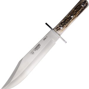 Bowie Stag