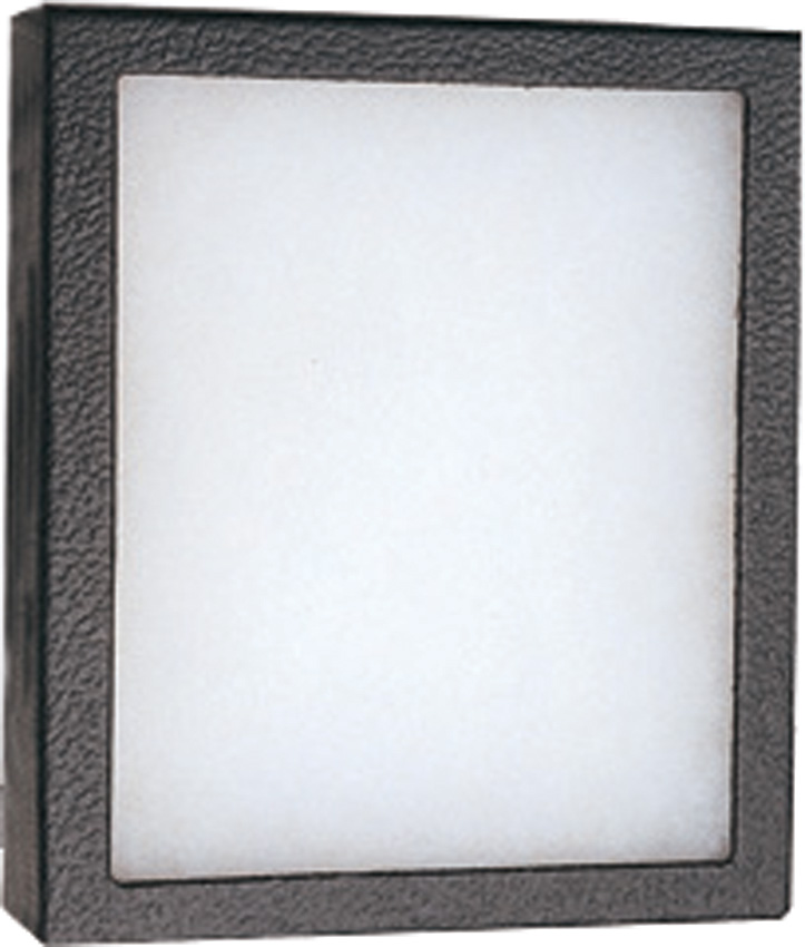 Frame