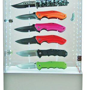 Display Case with LED Lights