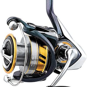 Regal LT Spinning Reel