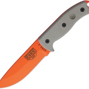 Model 5