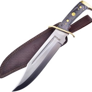 Sunrise Bowie