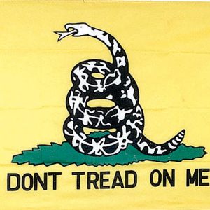 Yellow Gadsden Flag