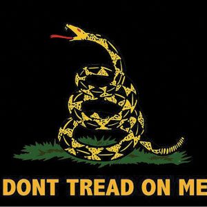 Black Gadsden Flag