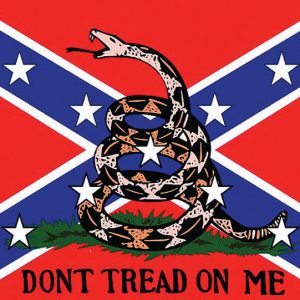 Gadsden Rebel Flag