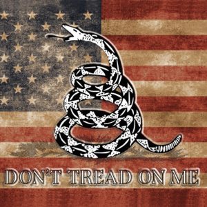 USA Vintage Gadsden Flag