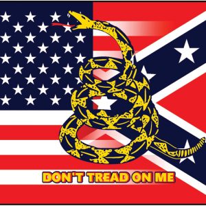 USA & Confederate Flag