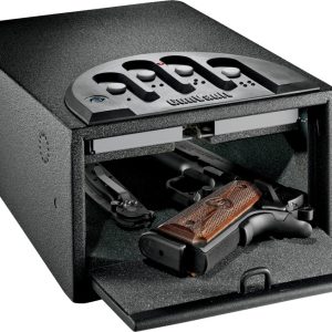 Mini 1000 Gun Vault