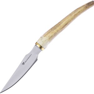 Stag Tip Bowie
