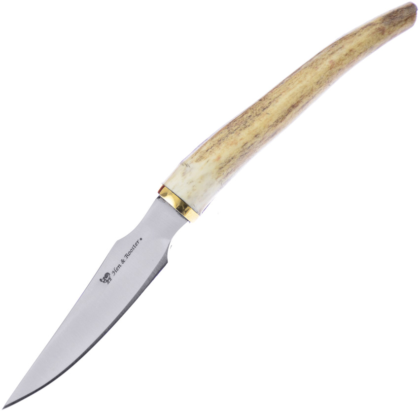Stag Tip Bowie