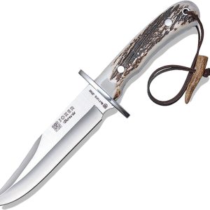 Bowie Stag