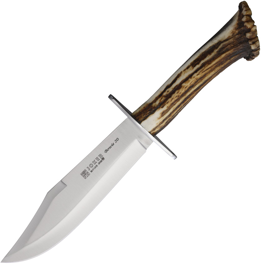 Bowie 20