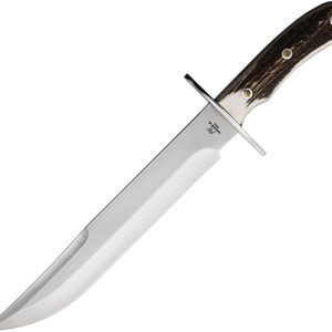 Alamo Bowie Stag