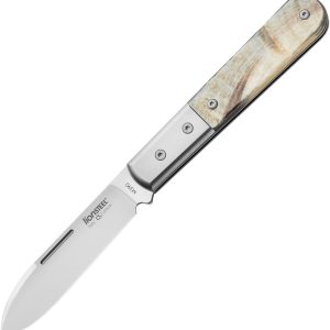 Barlow Roundhead Ram