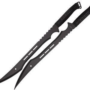 Twin Sword Set
