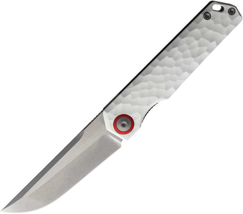 Baby Racoon V G10