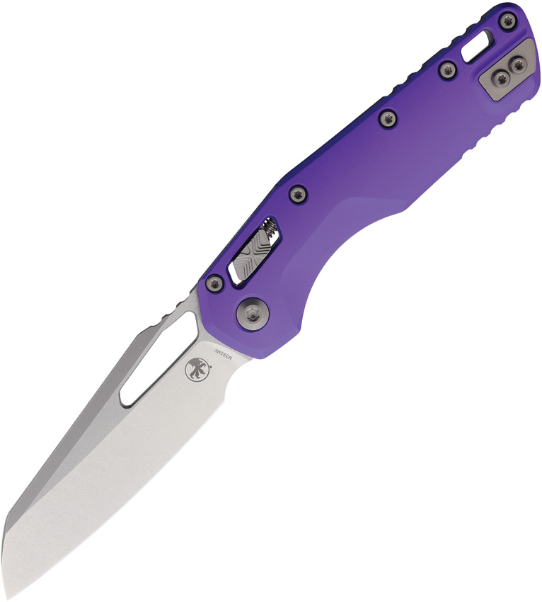 MSI Ram-Lok SW Purple