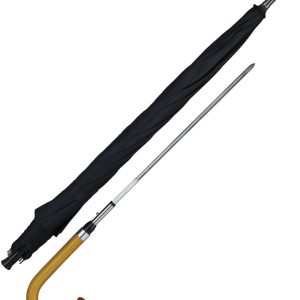 Umbrella with Sword Handle