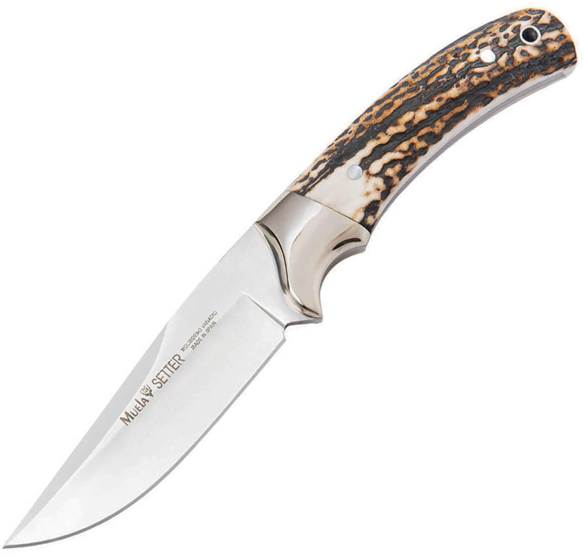 Setter-11A Fixed Blade Stag