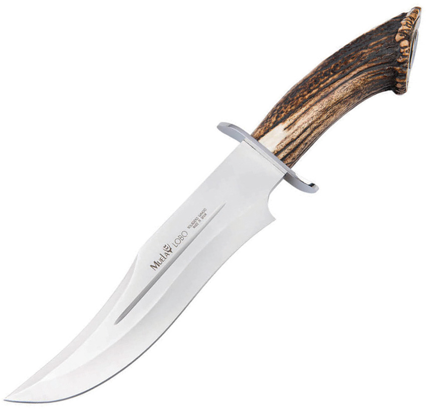 Lobo Bowie Stag