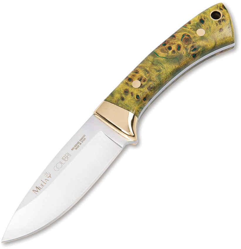 Colibri Fixed Blade Maple