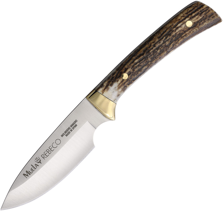 Fixed Blade
